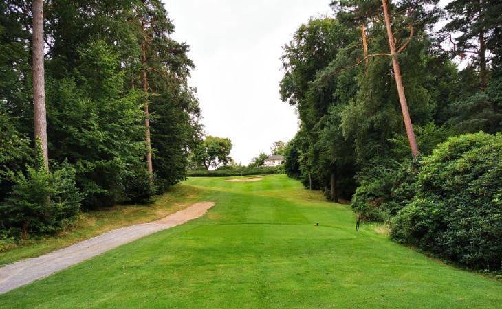 Eine Baum-Allee auf einem Golfplatz