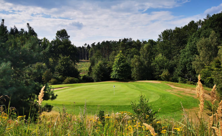 Ein Green, umgeben von Bäumen, auf einem Golfplatz