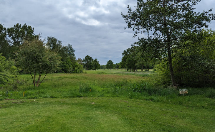 Ein Green auf einem Golfplatz