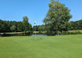 Eine Fahne auf einem Golfplatz vor einem Baum und einem Teich