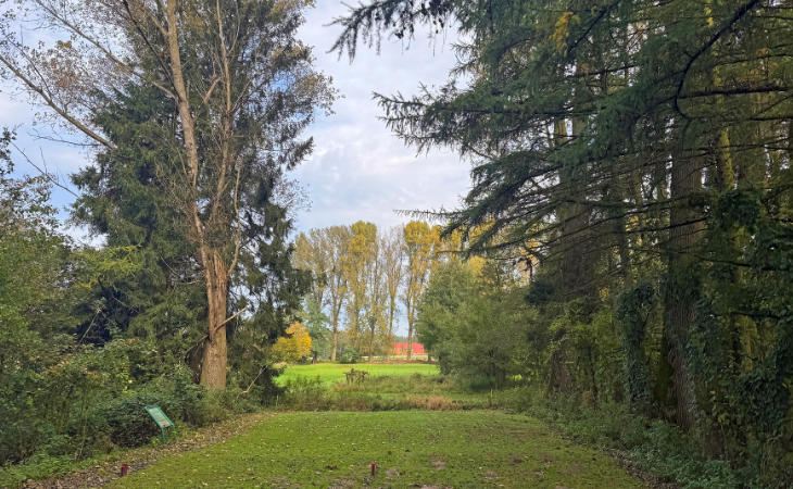 Eine Allee auf einem Golfplatz