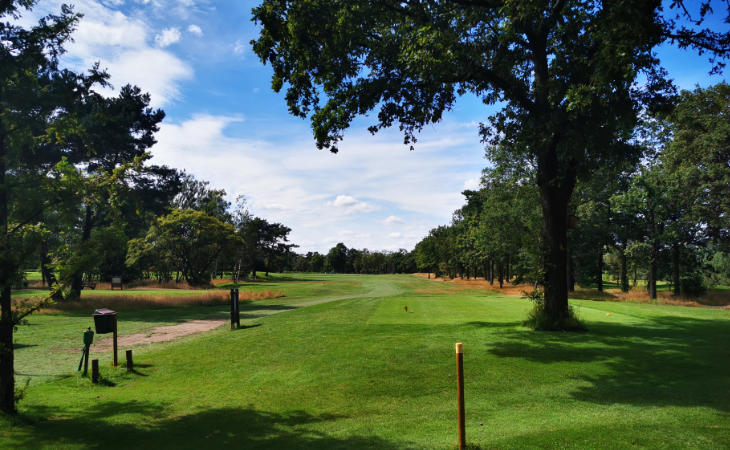 Eine Golfbahn auf einem Golfplatz