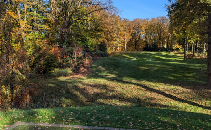 Herbstliche Bäume auf einem Golfplatz