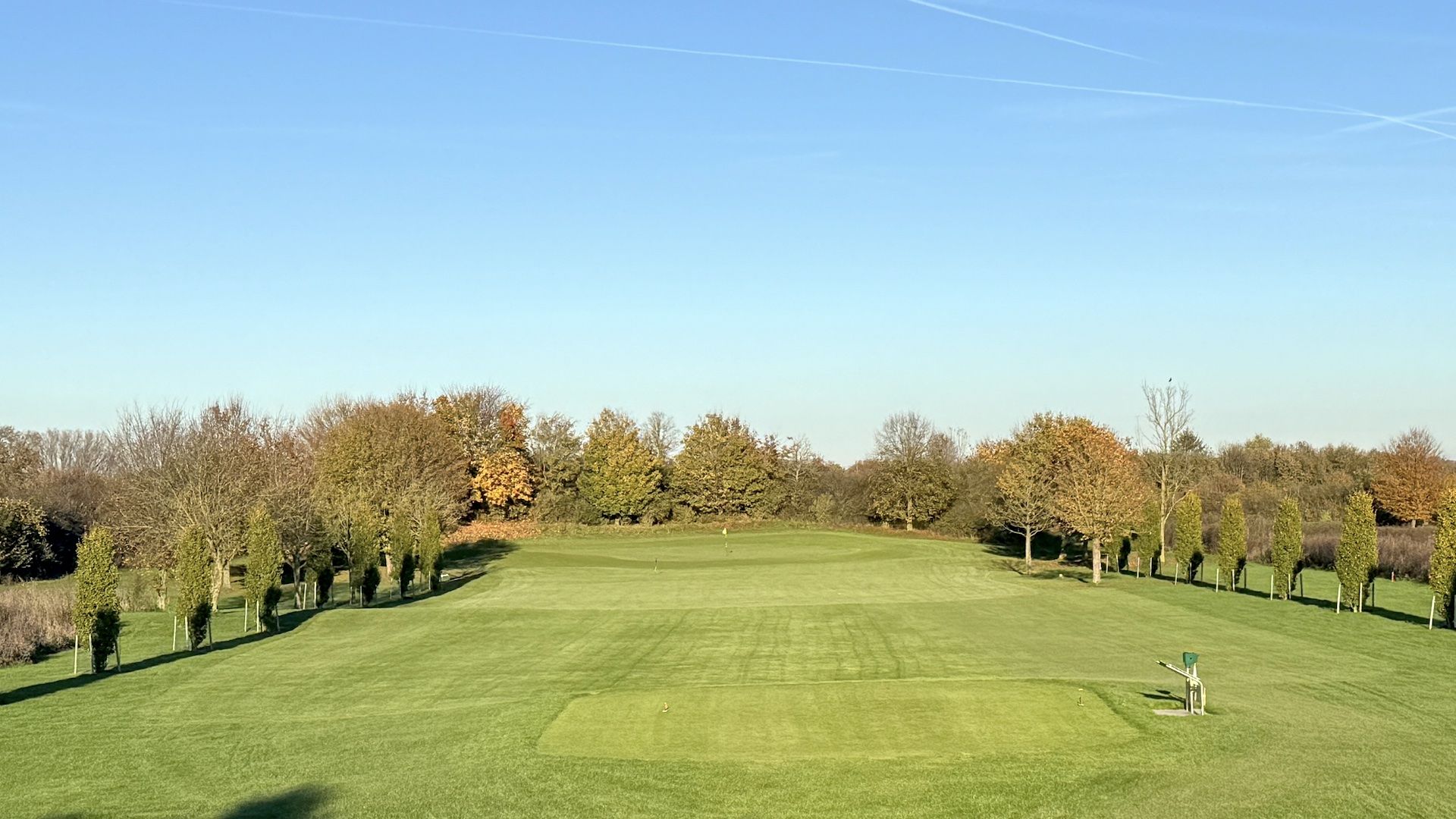 Eine Buchenallee auf einem Golfplatz