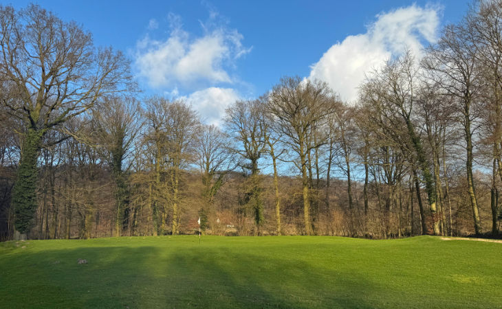 Bäume und eine Fahne auf einem Golfplatz